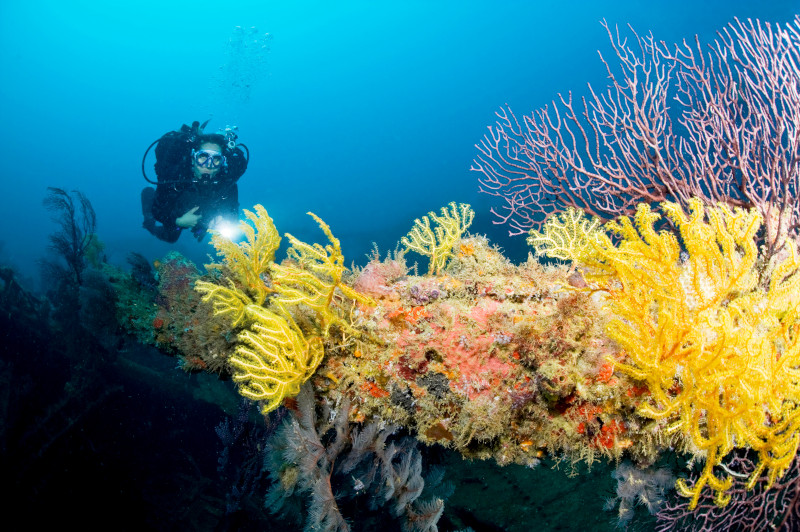 , Pure Grenada, Getting Tougher on Marine Waste